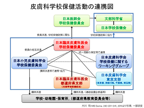 皮膚科学校保健活動の連携図